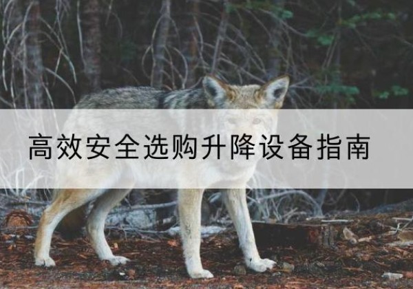 武江升降货梯厂家推荐-*安全选购升降设备指南