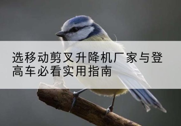 武江电动升降机厂家-选移动剪叉升降机厂家与登高车必看实用指南