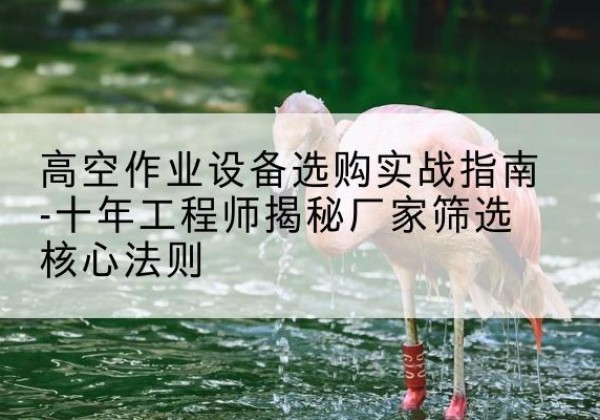 武江剪叉式升降机厂家-高空作业设备选购实战指南-十年工程师揭秘厂家筛选核心法则